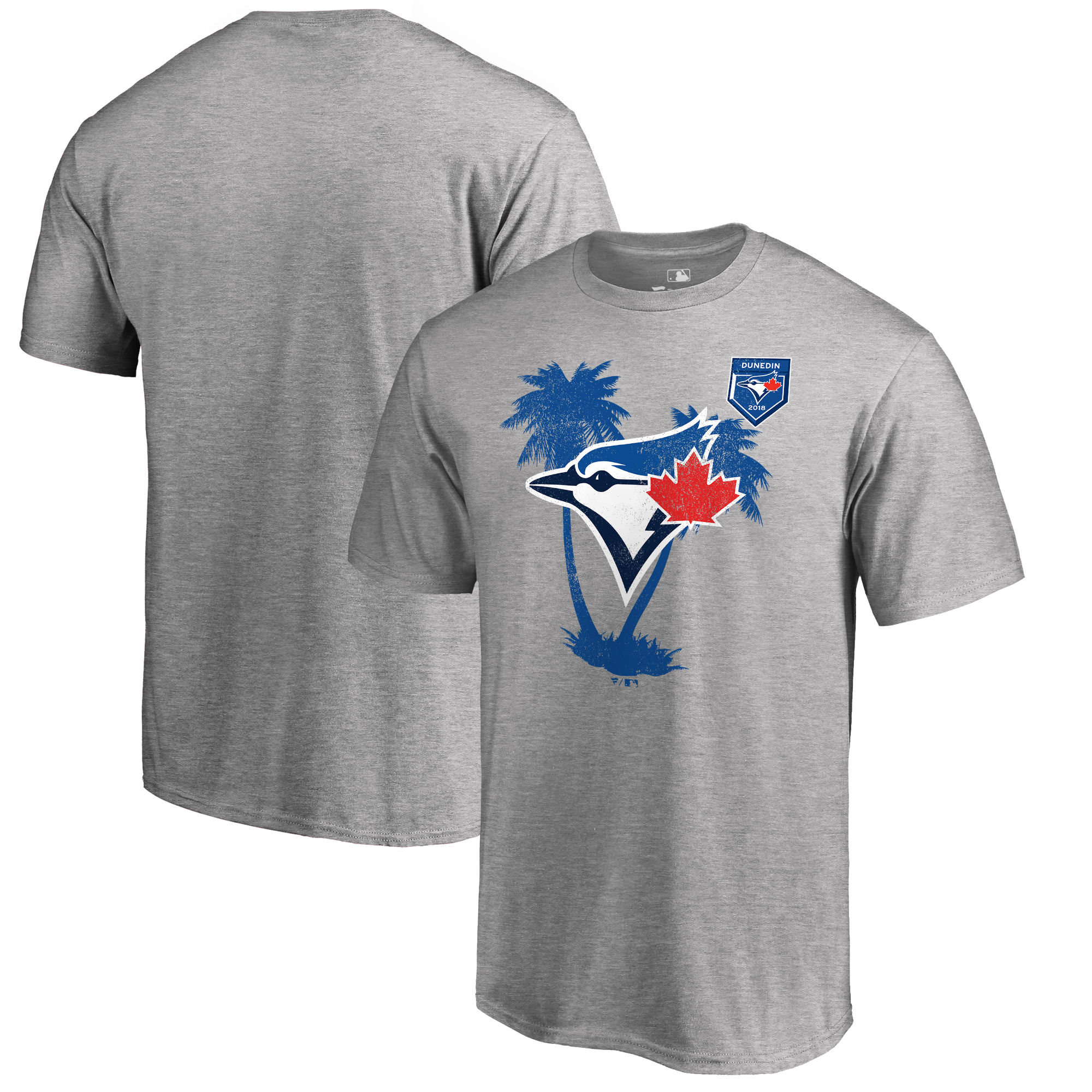 Men's Toronto Blue Jays Fanatics Branded 2018 MLB Spring Training Vintage T-Shirt – Heather Gray